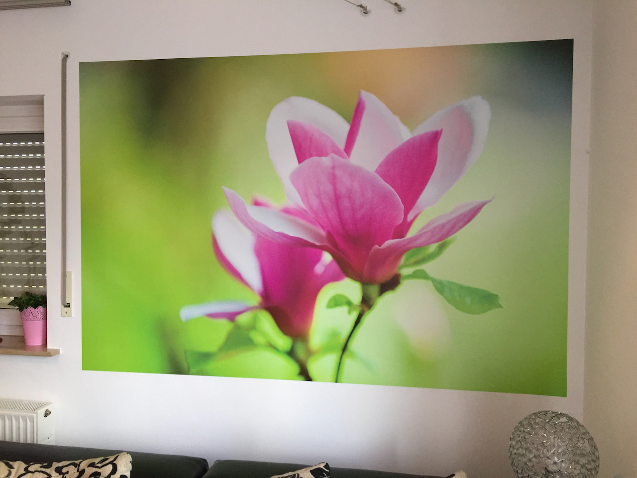 Großformatiger Digitaldruck Magnolie an der Wand